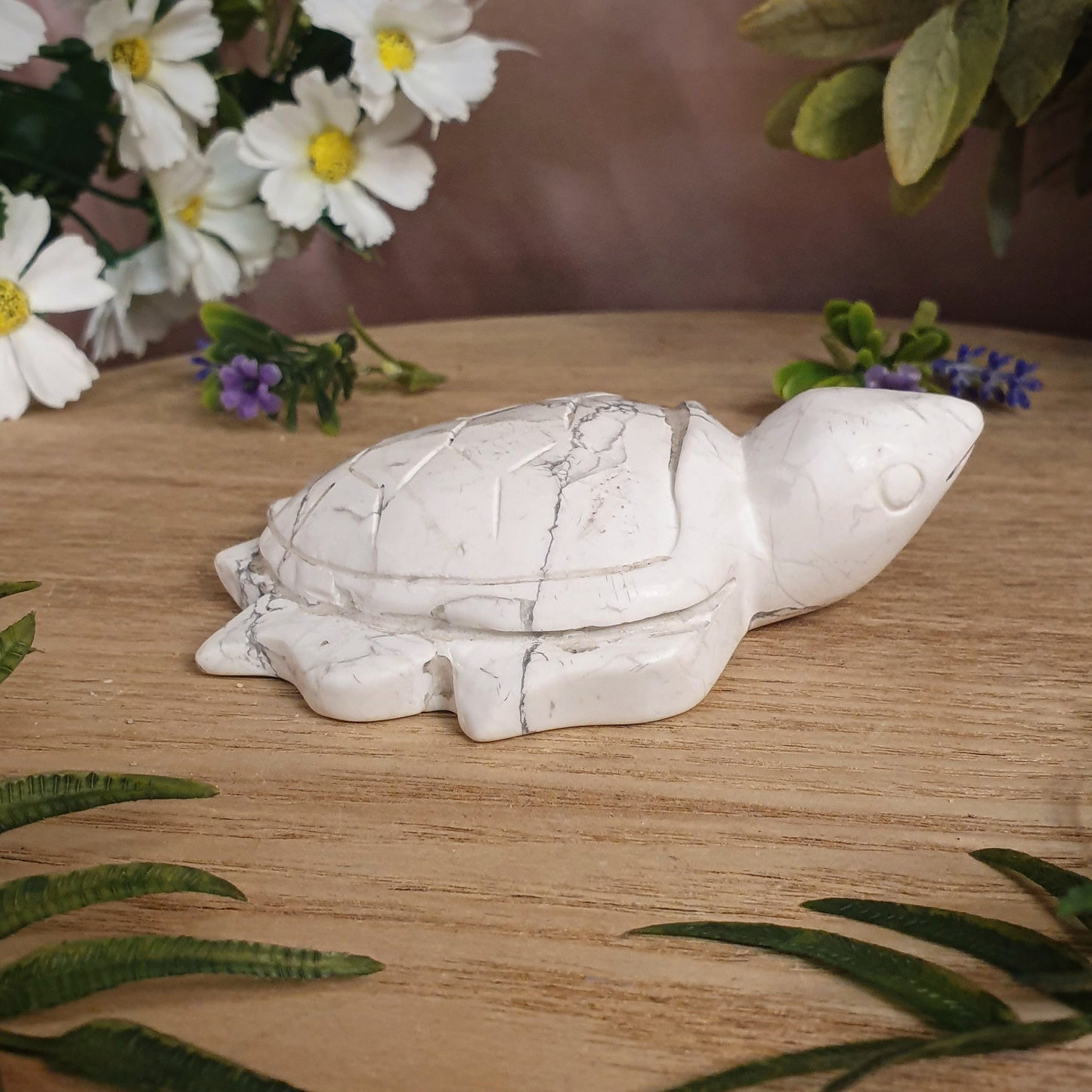 Turtle - White Howlite