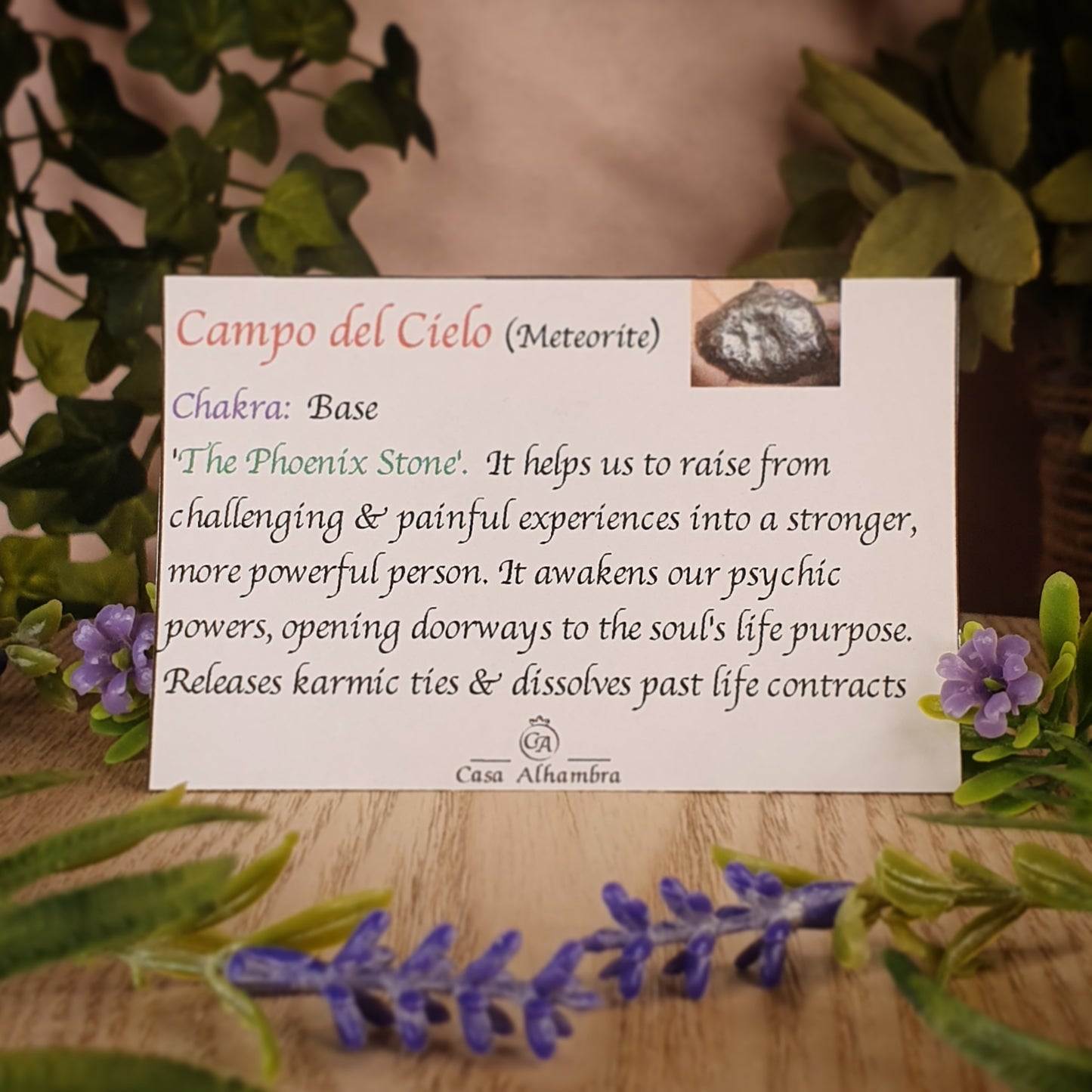 Campo Del Cielo Ring - Size 9 (mx741)