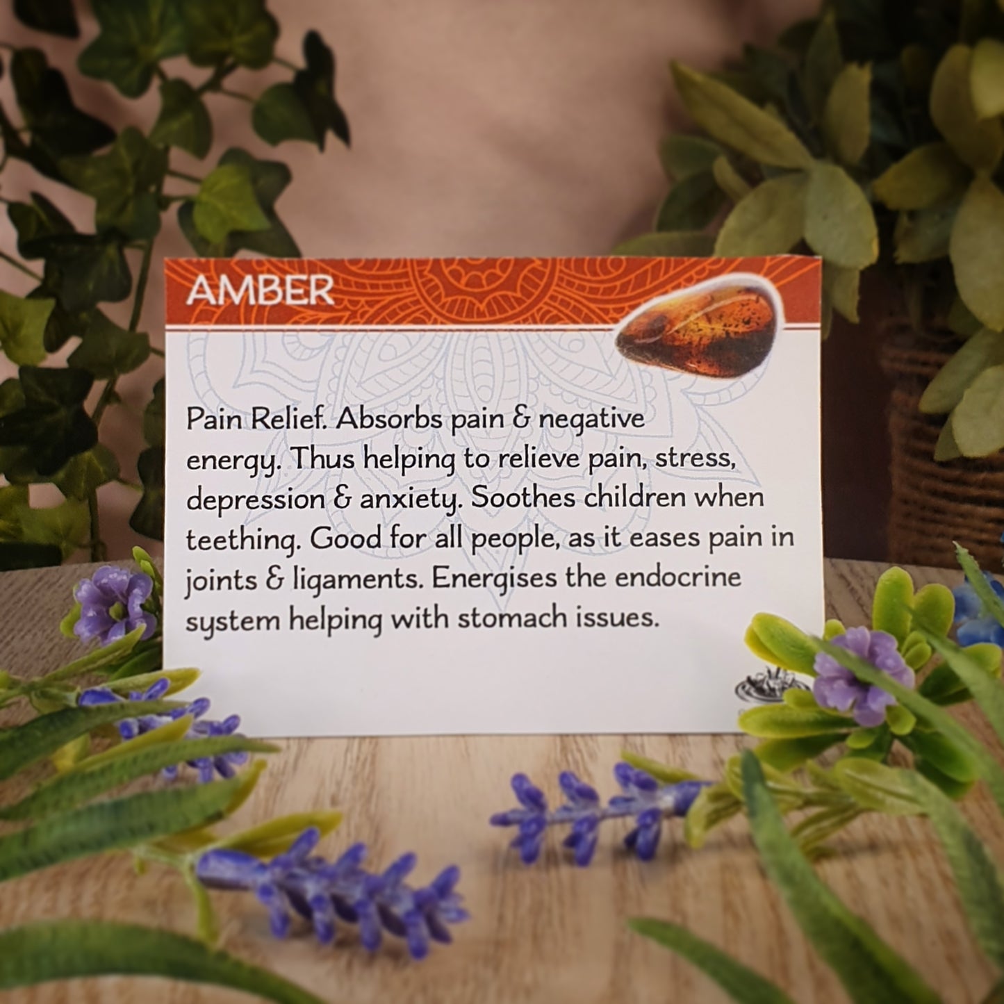 Amber Ring - Size 7 (mx871)