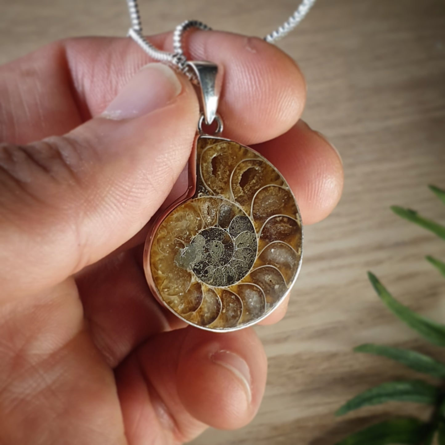 Ammonite Pendant (mx753)