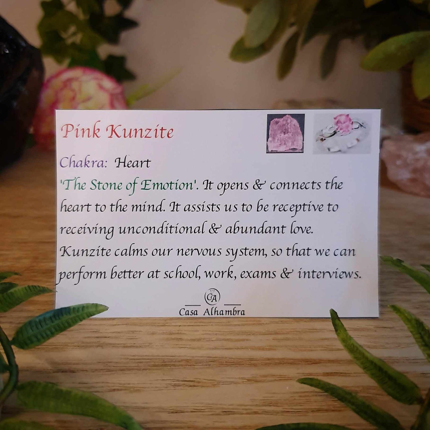 Pink Kunzite Pendant (mx857)