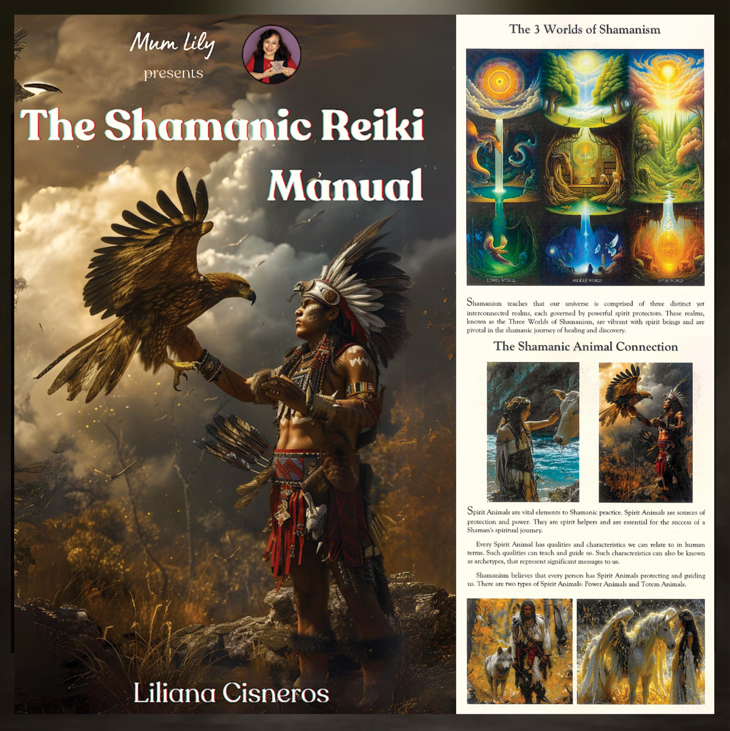 The Shamanic Reiki Manual (ShM1)
