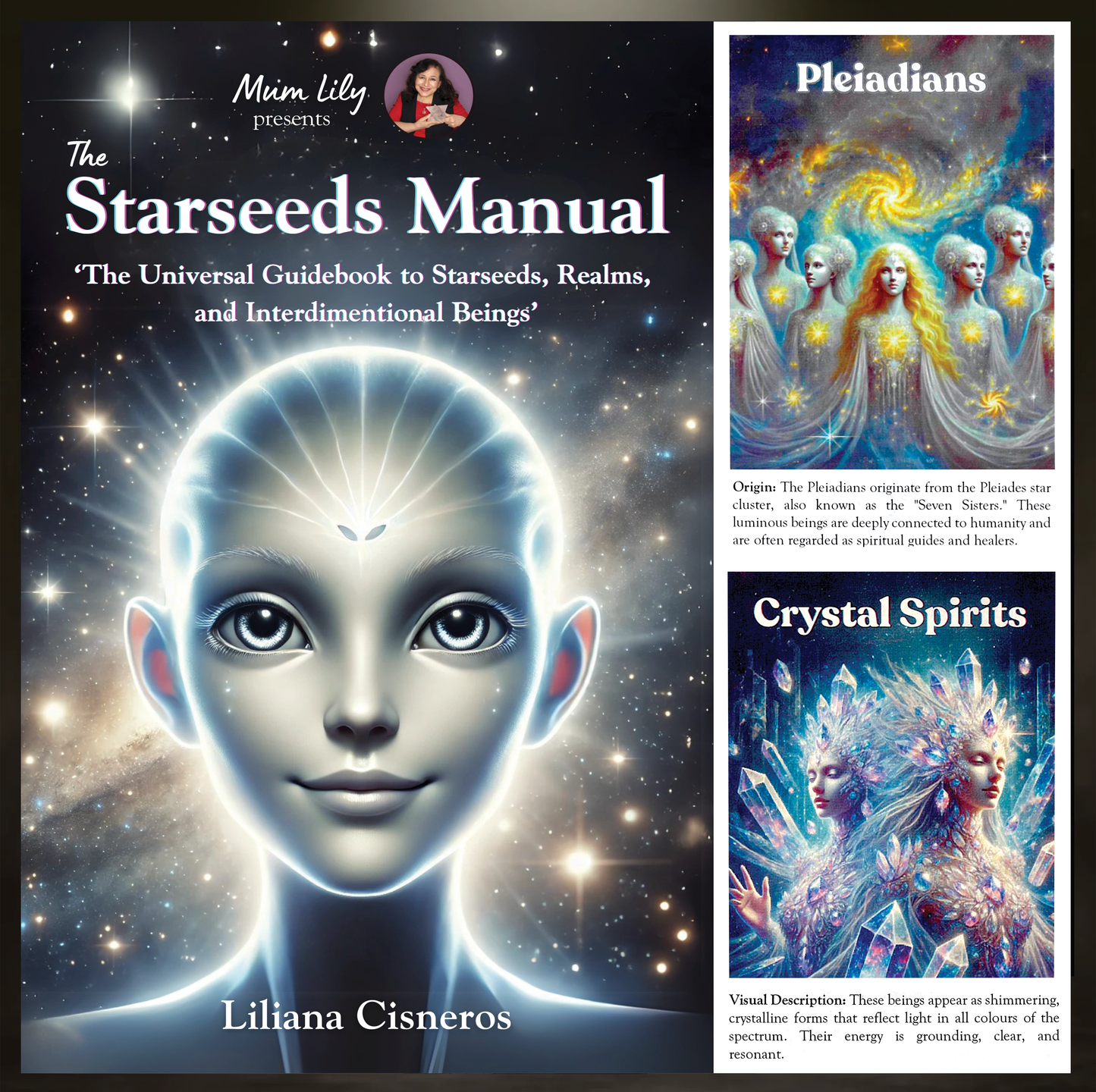 The Starseed Manual (starman01)