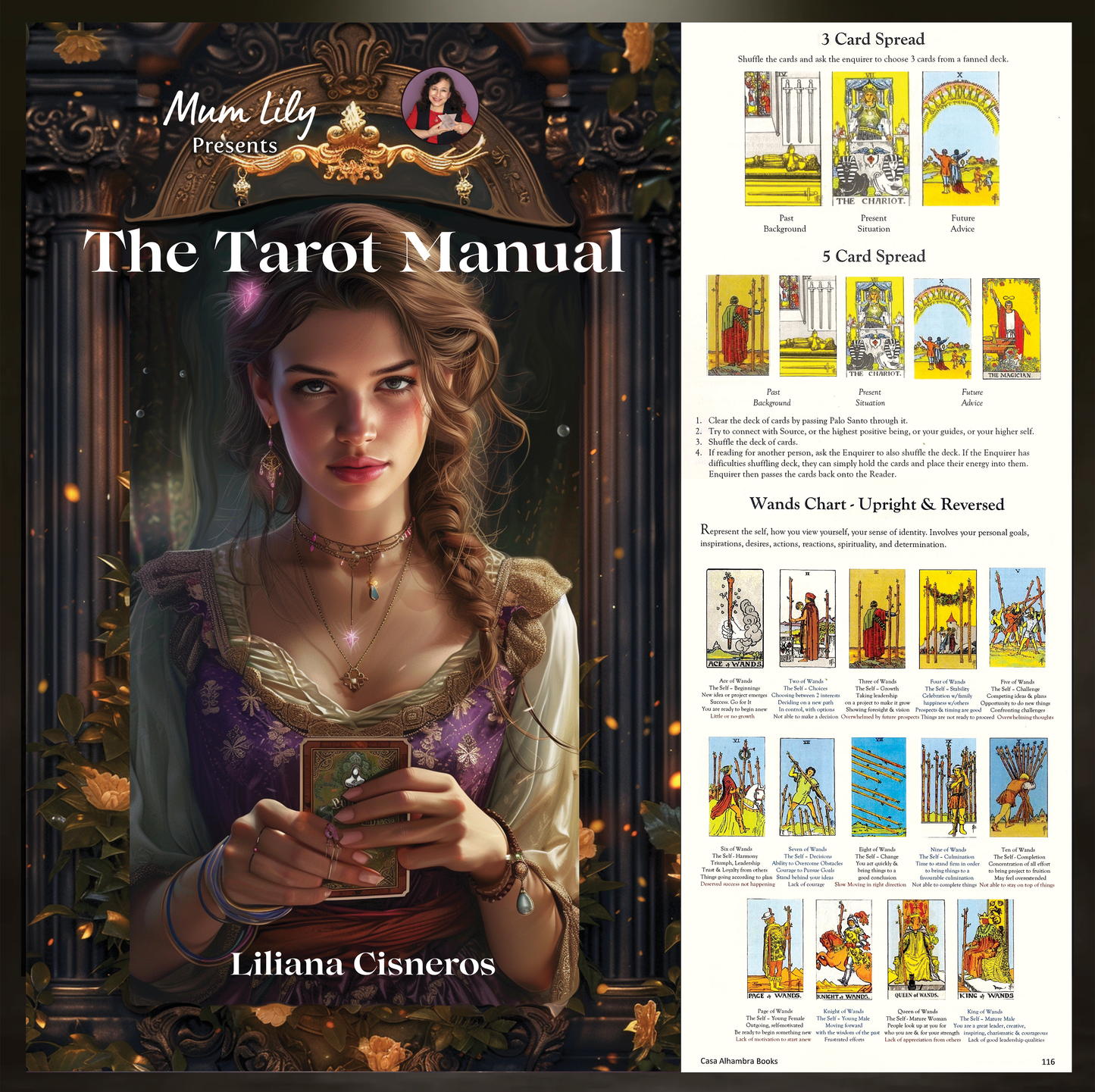The Tarot Manual (tarman01)