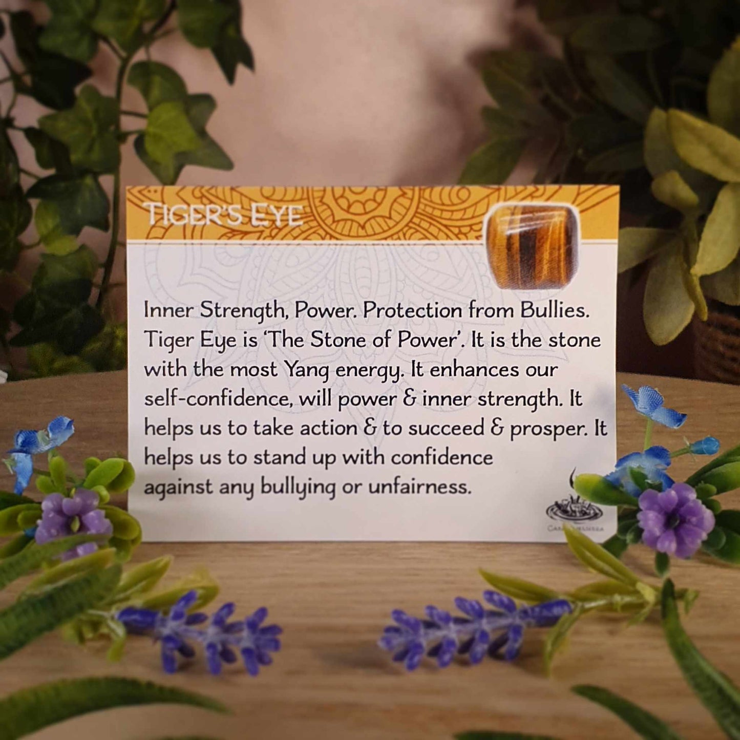 Tiger's Eye Pendant (mx756)