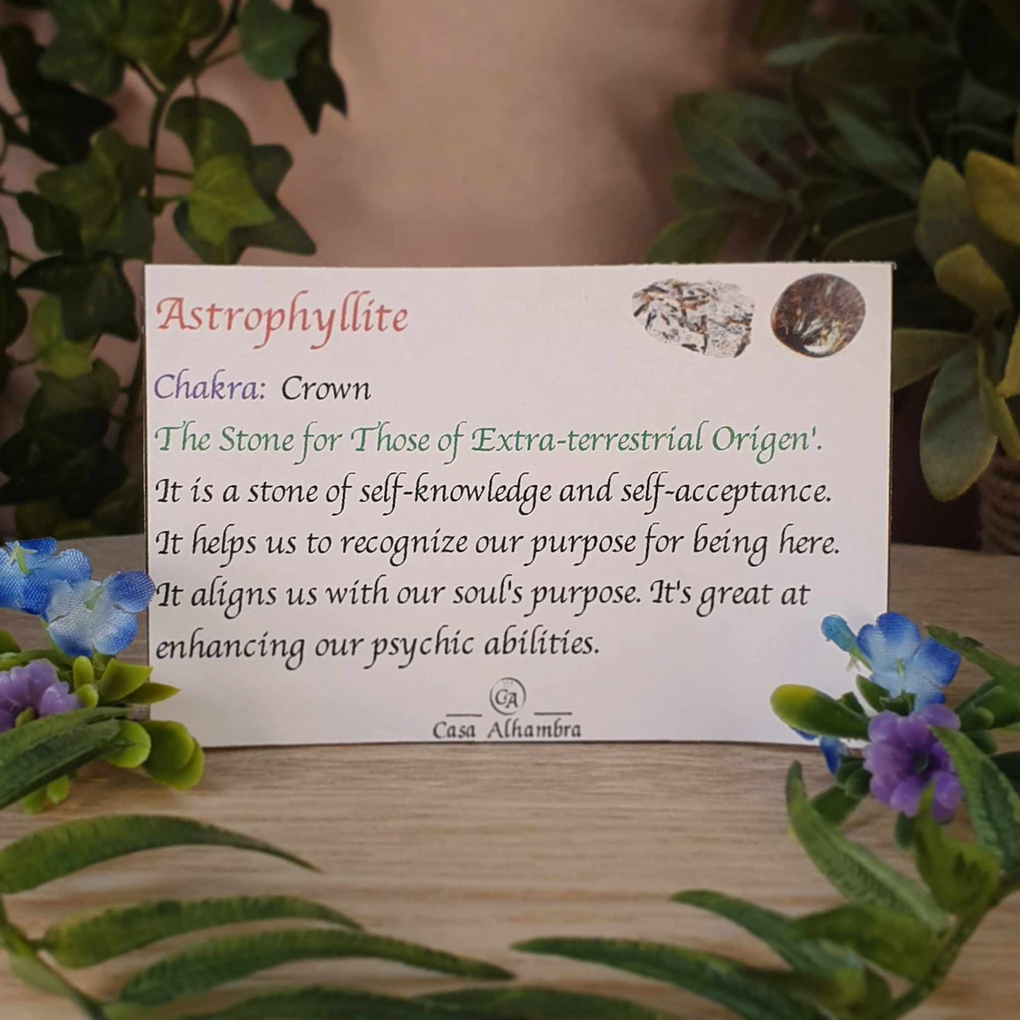 Astrophyllite Bracelet (mx861)
