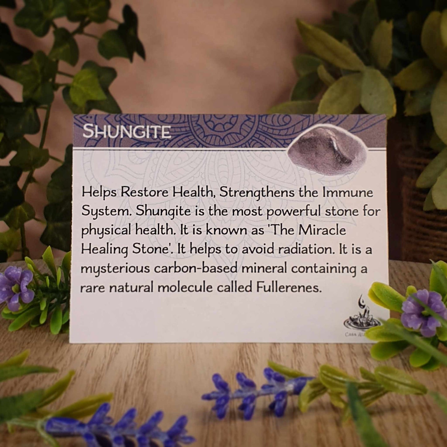 SOLD - Elite Shungite Pendant (mx501)