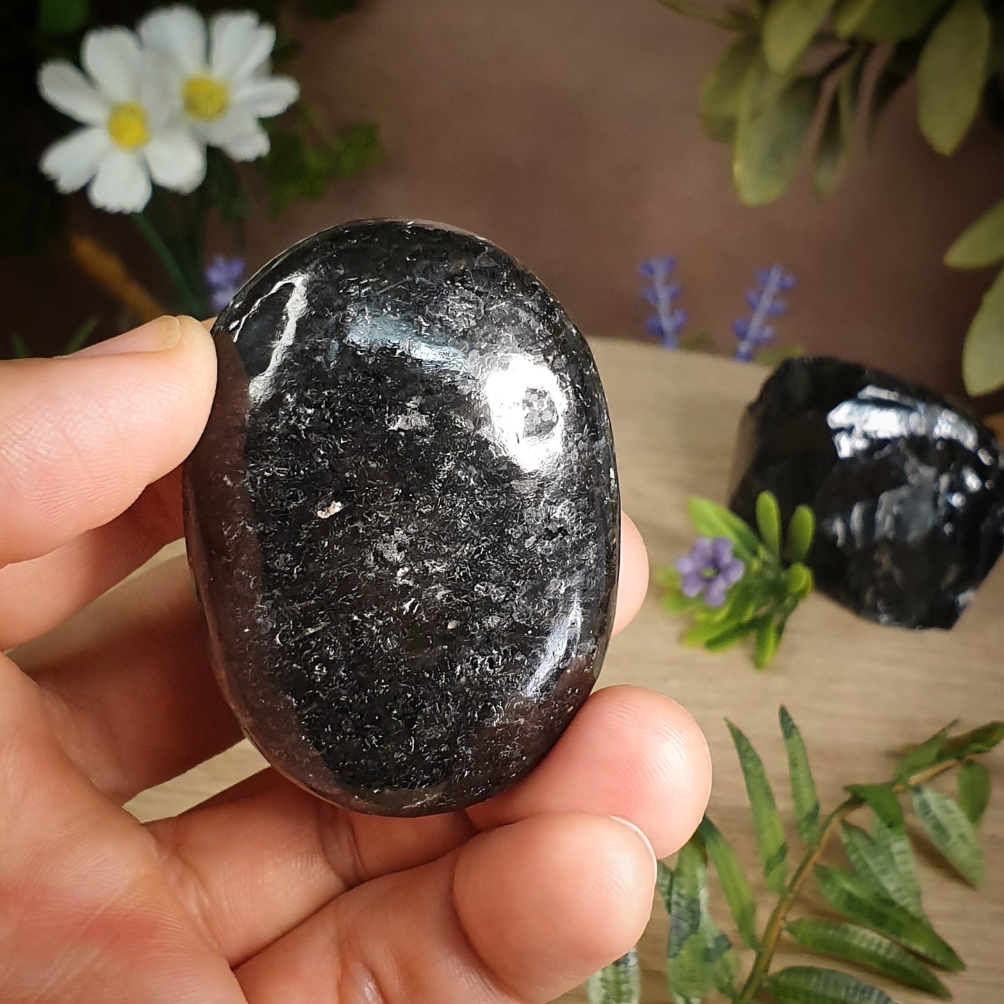Nuummite (Oval Shaped)