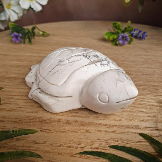 Turtle - White Howlite