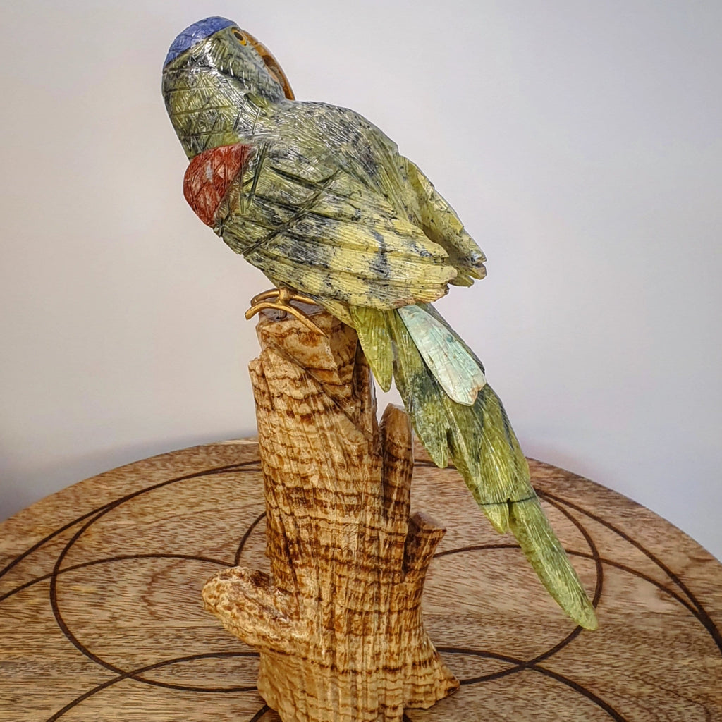 Parrot - Large - ON SALE 40% OFF