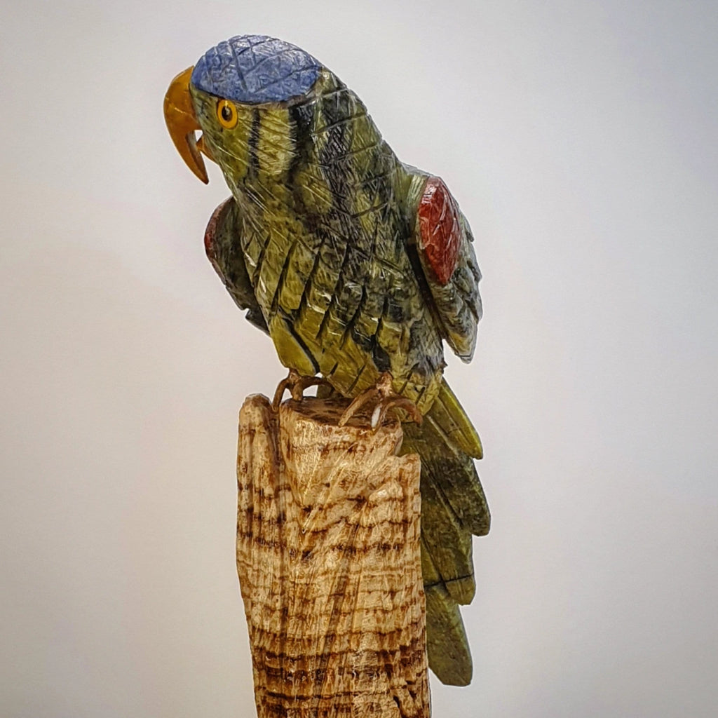 Parrot - Large - ON SALE 40% OFF