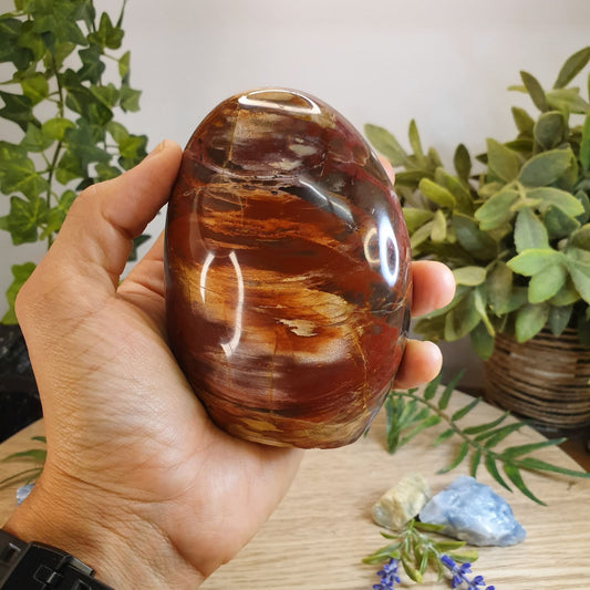Petrified Wood - ON SALE 40% OFF