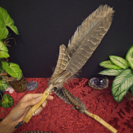 Smudging Feather